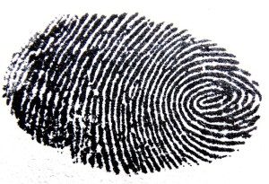 rp_fingerprint-456483_640-300x205.jpg